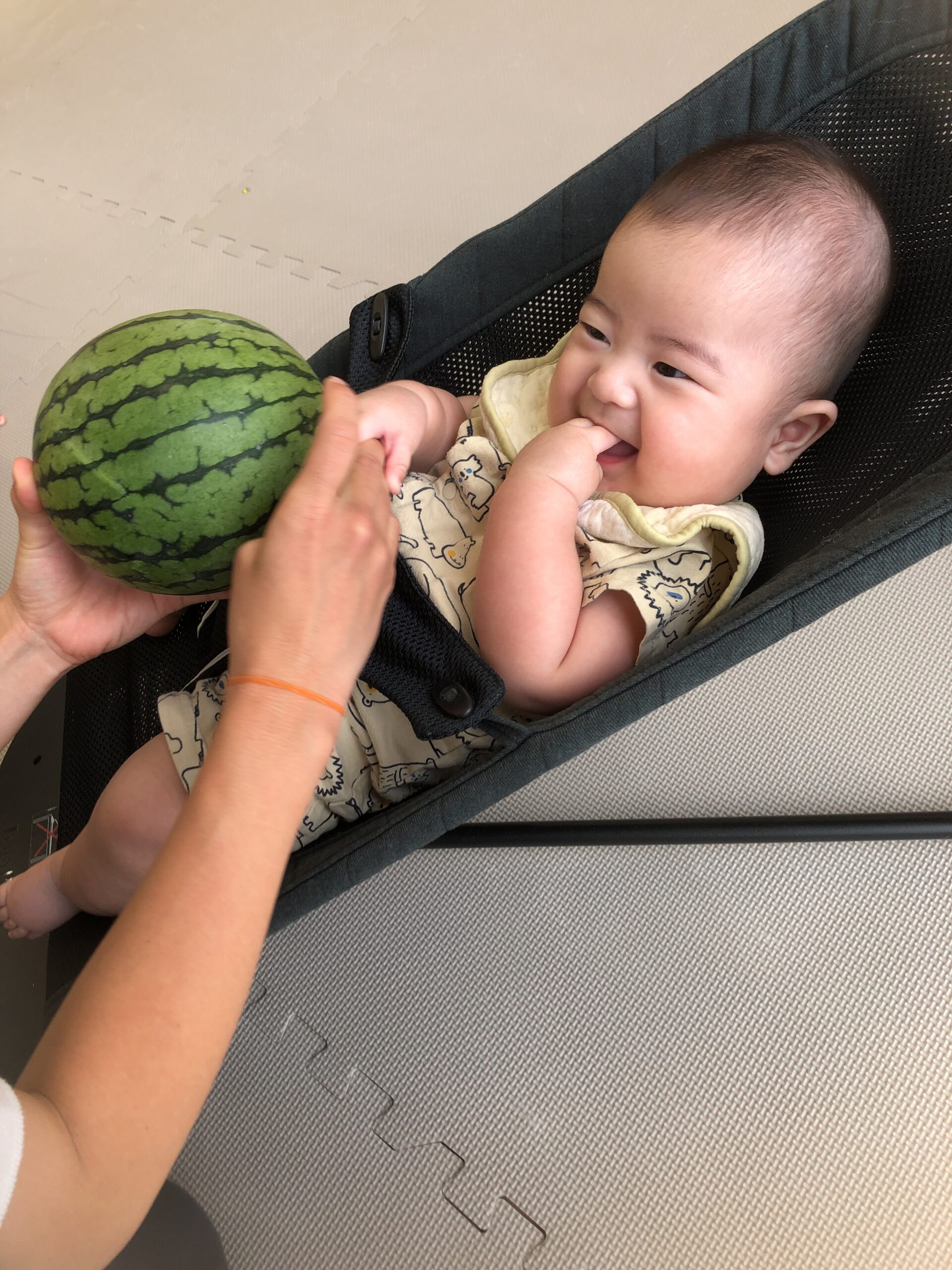 夏だー！すいかだー！🍉